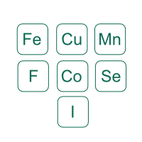 MICROMINERALES: