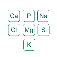 MACROMINERALES: 